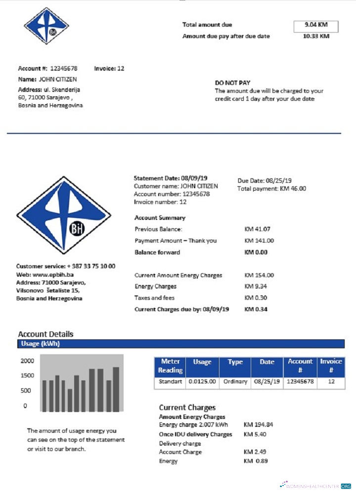 download download Bosnia and Herzegovina Elektroprivreda BiH electricity utility bill